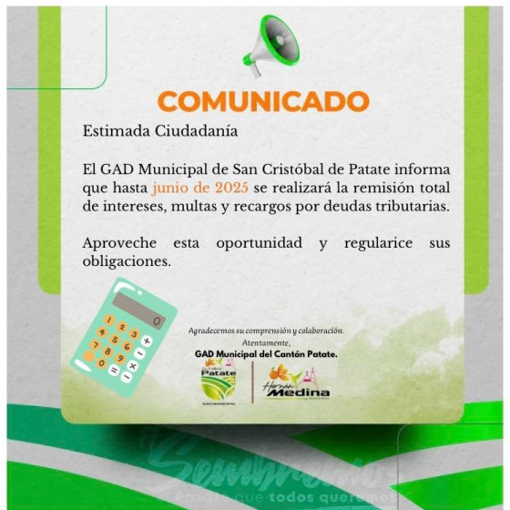 remision2