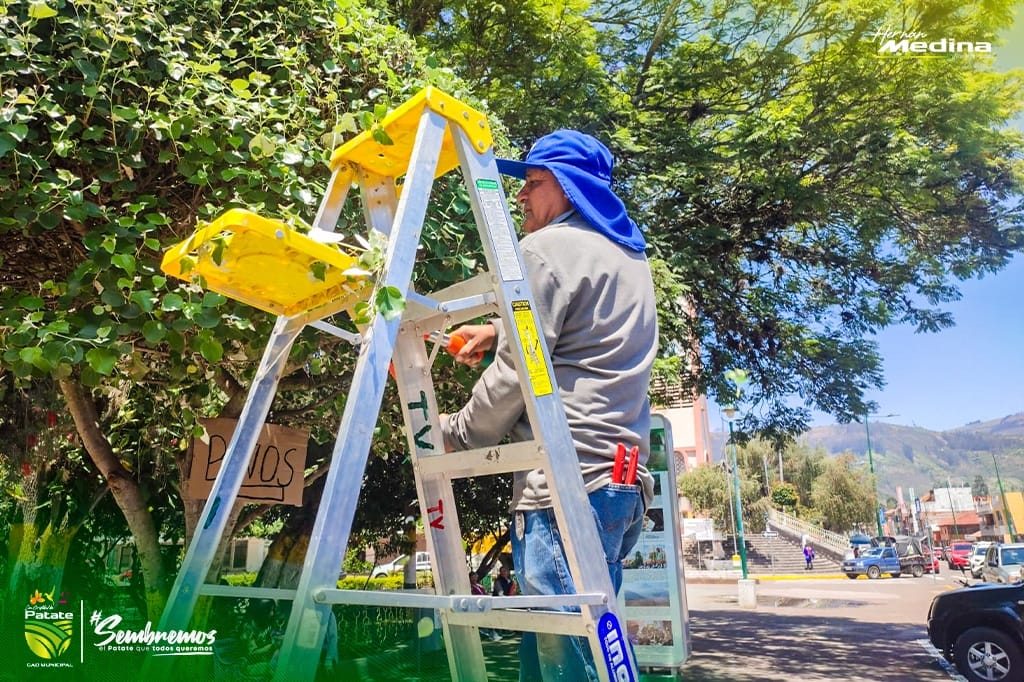MANTENIMIENTO DEL ORNATO EN EL PARQUE SIMÓN BOLÍVAR